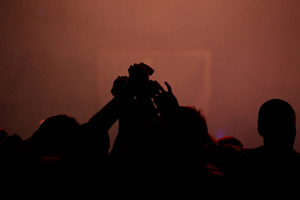 团队荣誉及 团队荣誉及